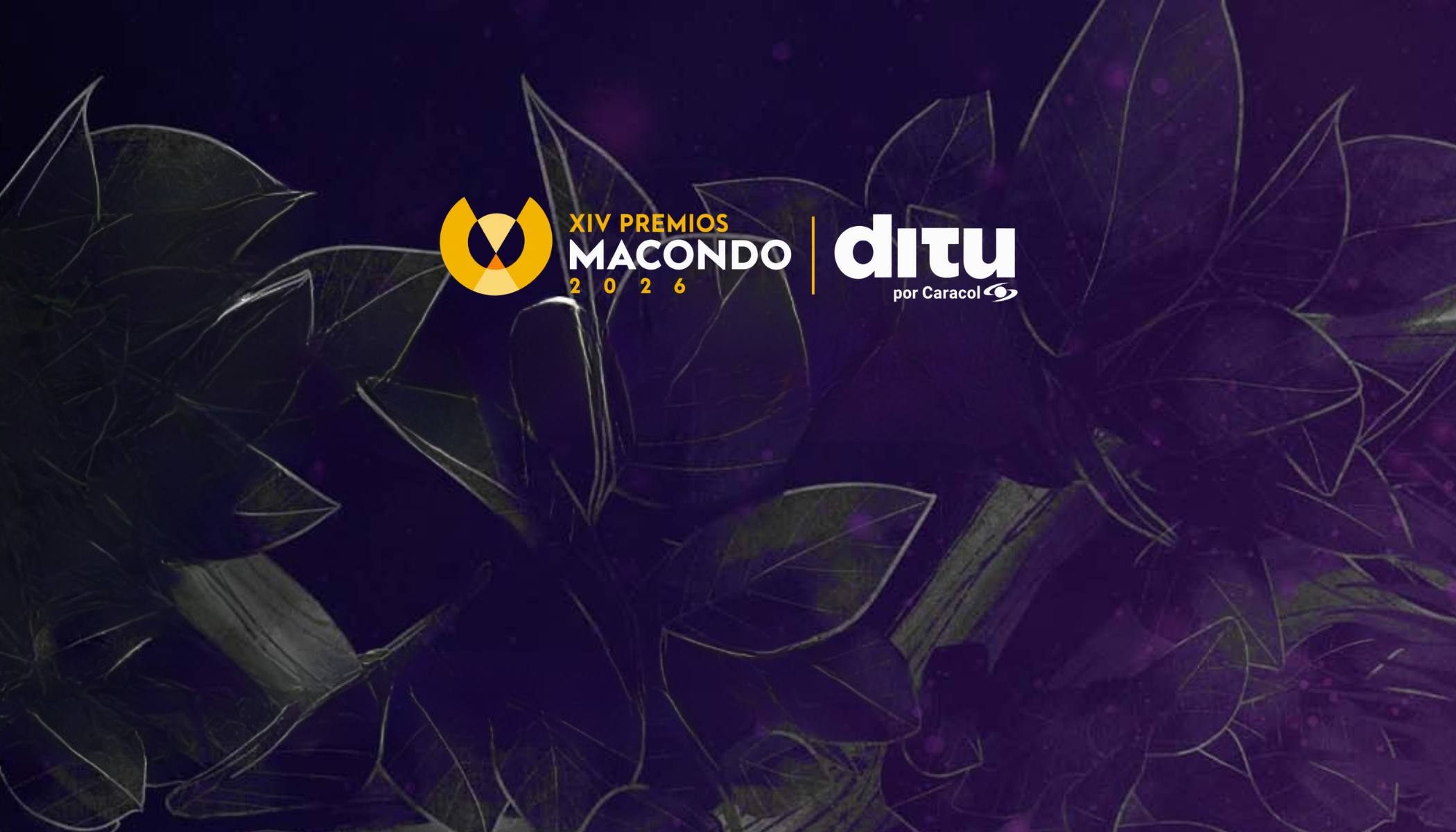 Imagen destacada Ditu