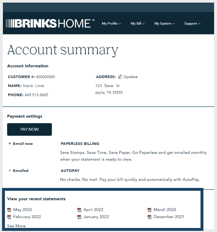 003b BrinksHome 2022 Portal View Account Page