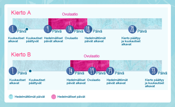 Kuva kahden kuukautiskierron aikana. Cycle, joka kestää 28 päivää ja on kuukautisvuotoa noin 9 päivää. Cycle B on 33 päivää ja on kuukautisvuotoa 14 päivän jälkeen.