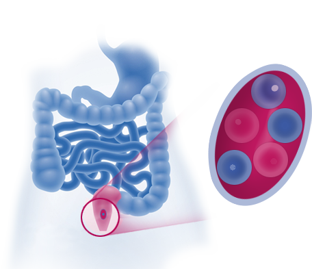Microlax softens stool and stimulates bowel movement
