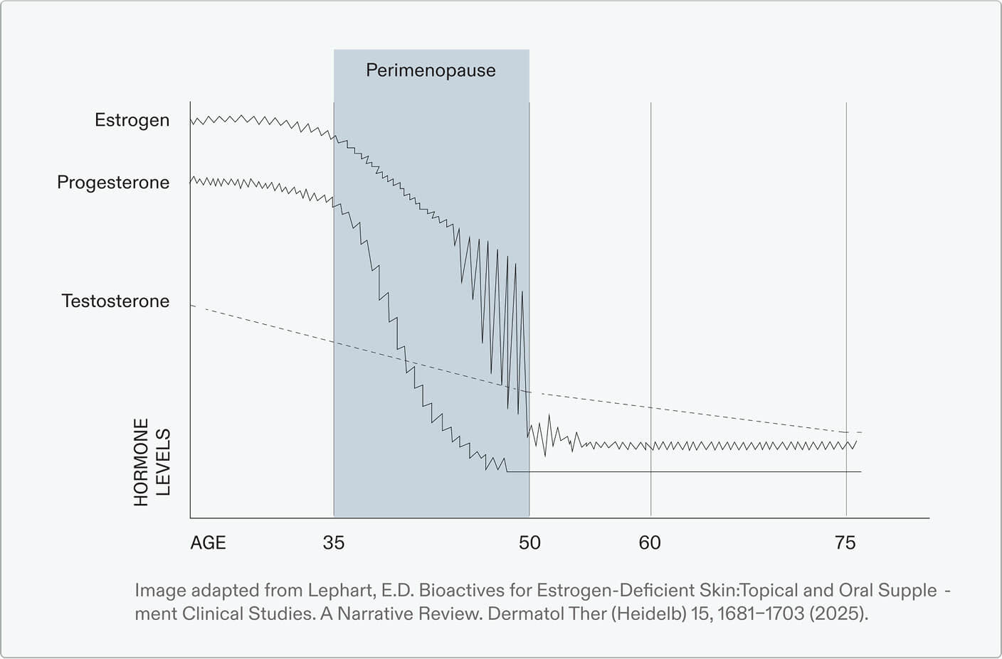 Graph showing how hormone levels fluctuate over time. Image adapted from Lephart, E.D. Bioactives for Estrogen-Deficient Skin:Topical and Oral Supple - ment Clinical Studies. A Narrative Review. Dermatol Ther (Heidelb) 15, 1681-1703 (2025).