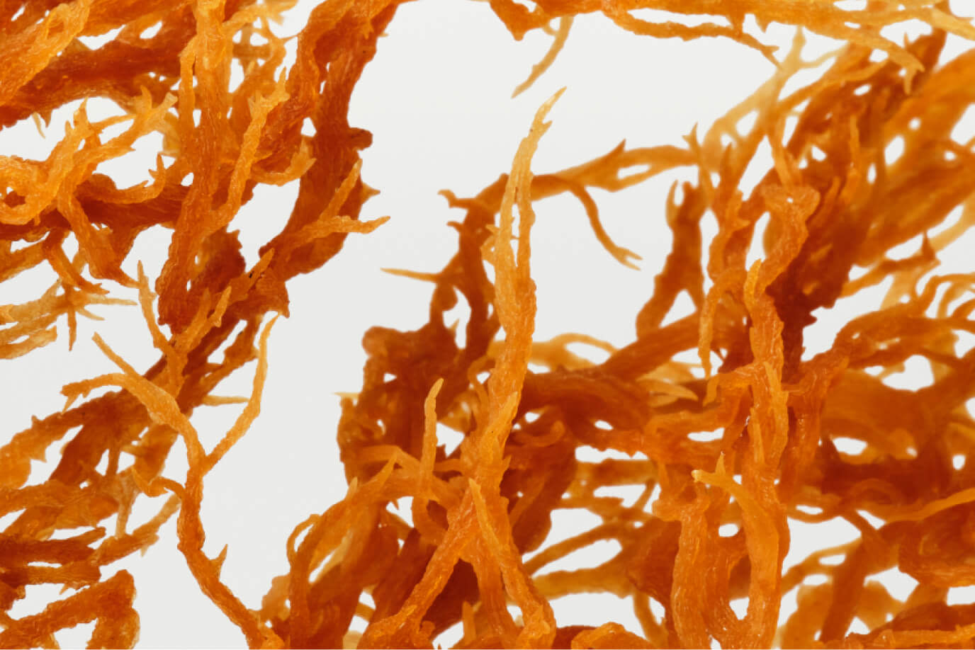 Irish Moss Peptides