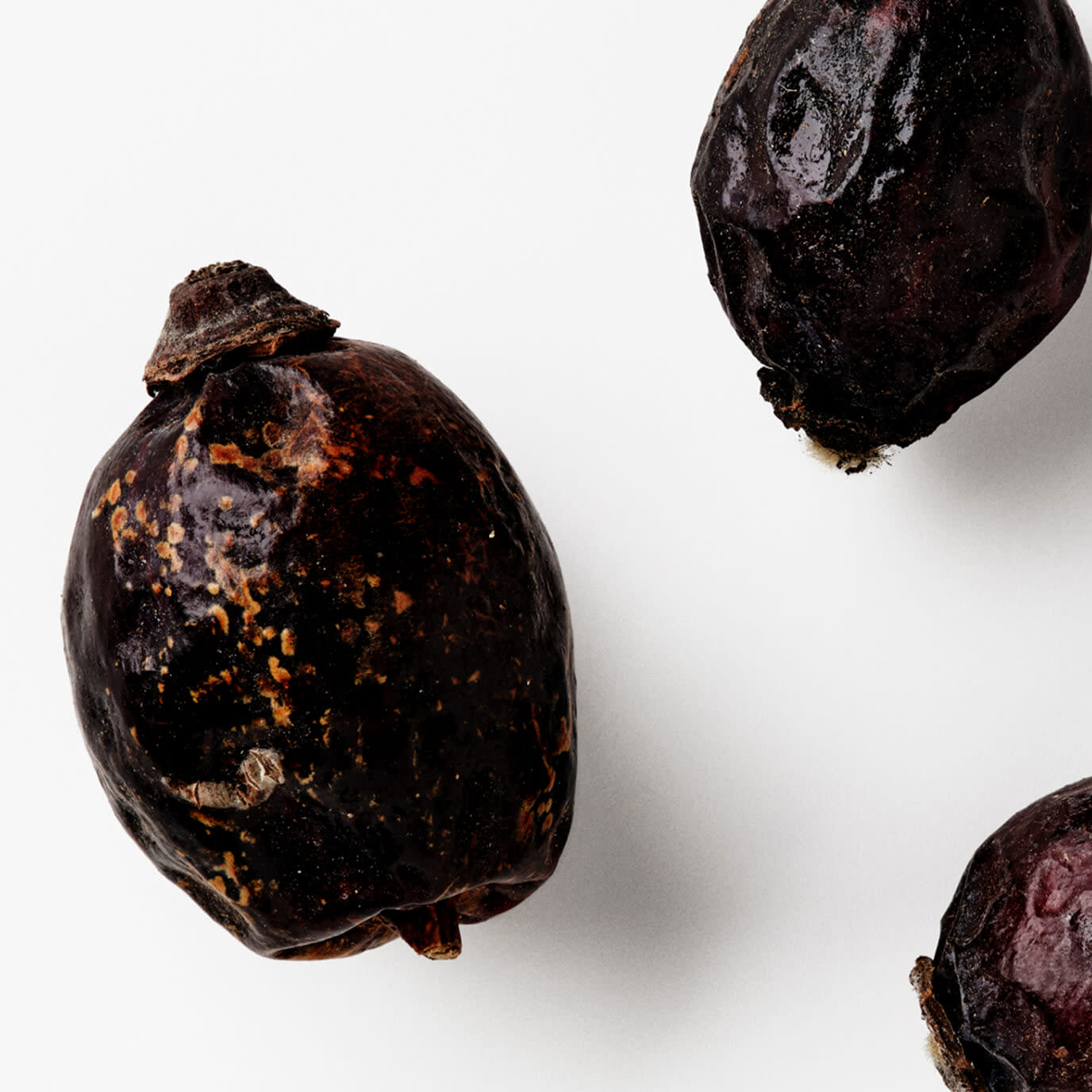 Rosehip Fruit Extract