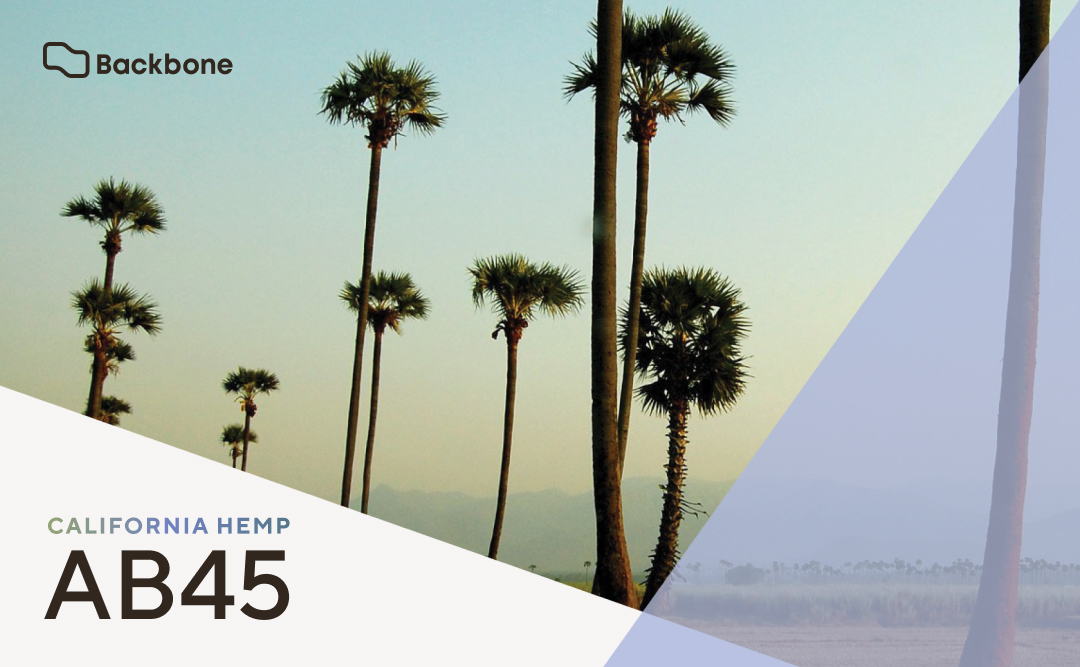 The Main Principles Of Cbd Oil Legal In California