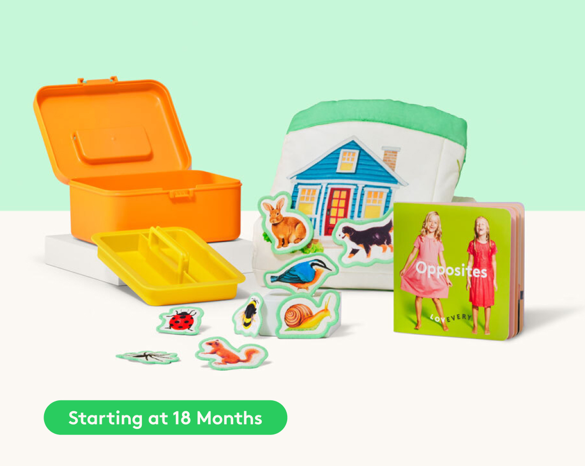 Sort & Match Mini Kit | Sorting Toys & Matching Games for 18+