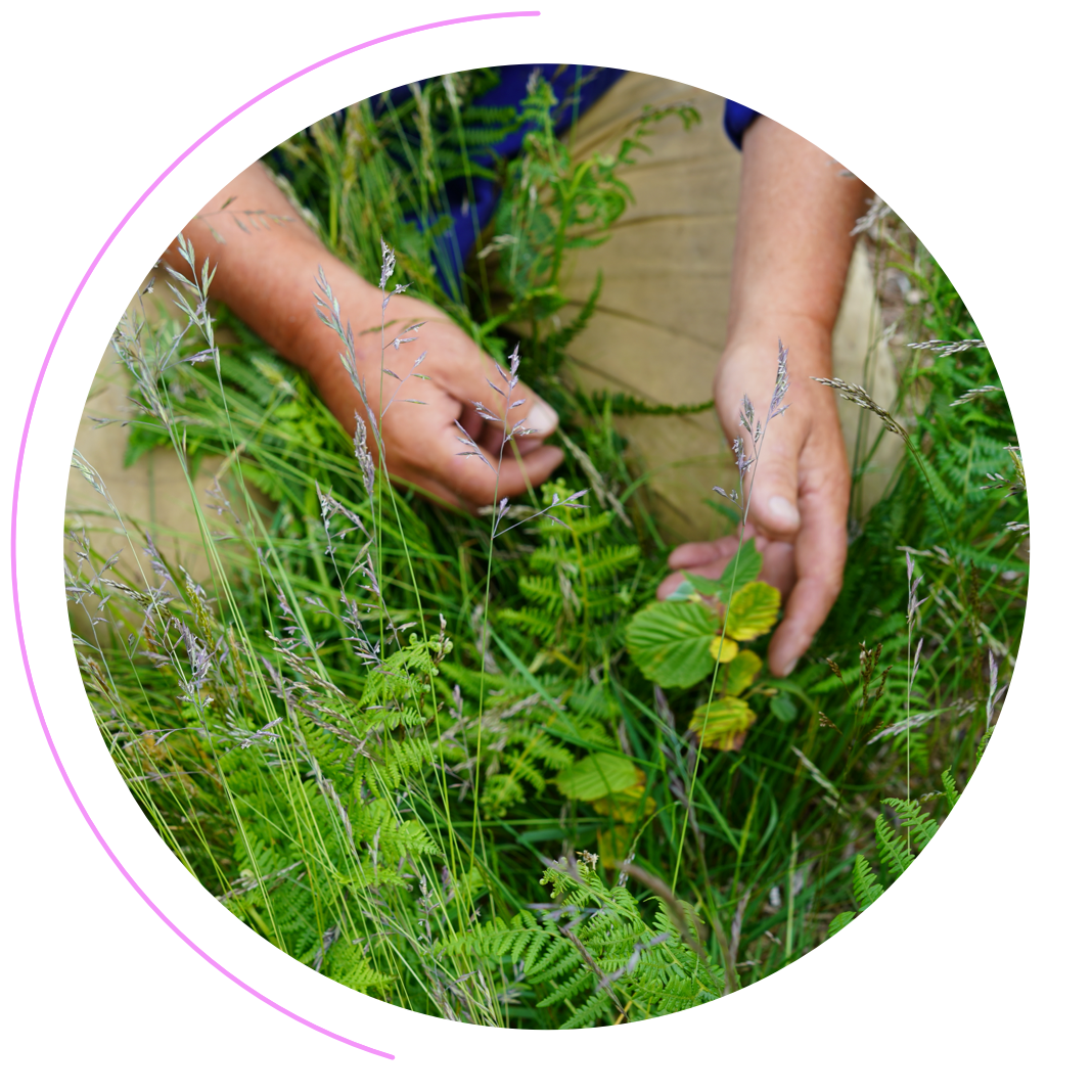 this asset is on: about-us / get-your-hands-dirty / multi-section / Get-your-tree-planted