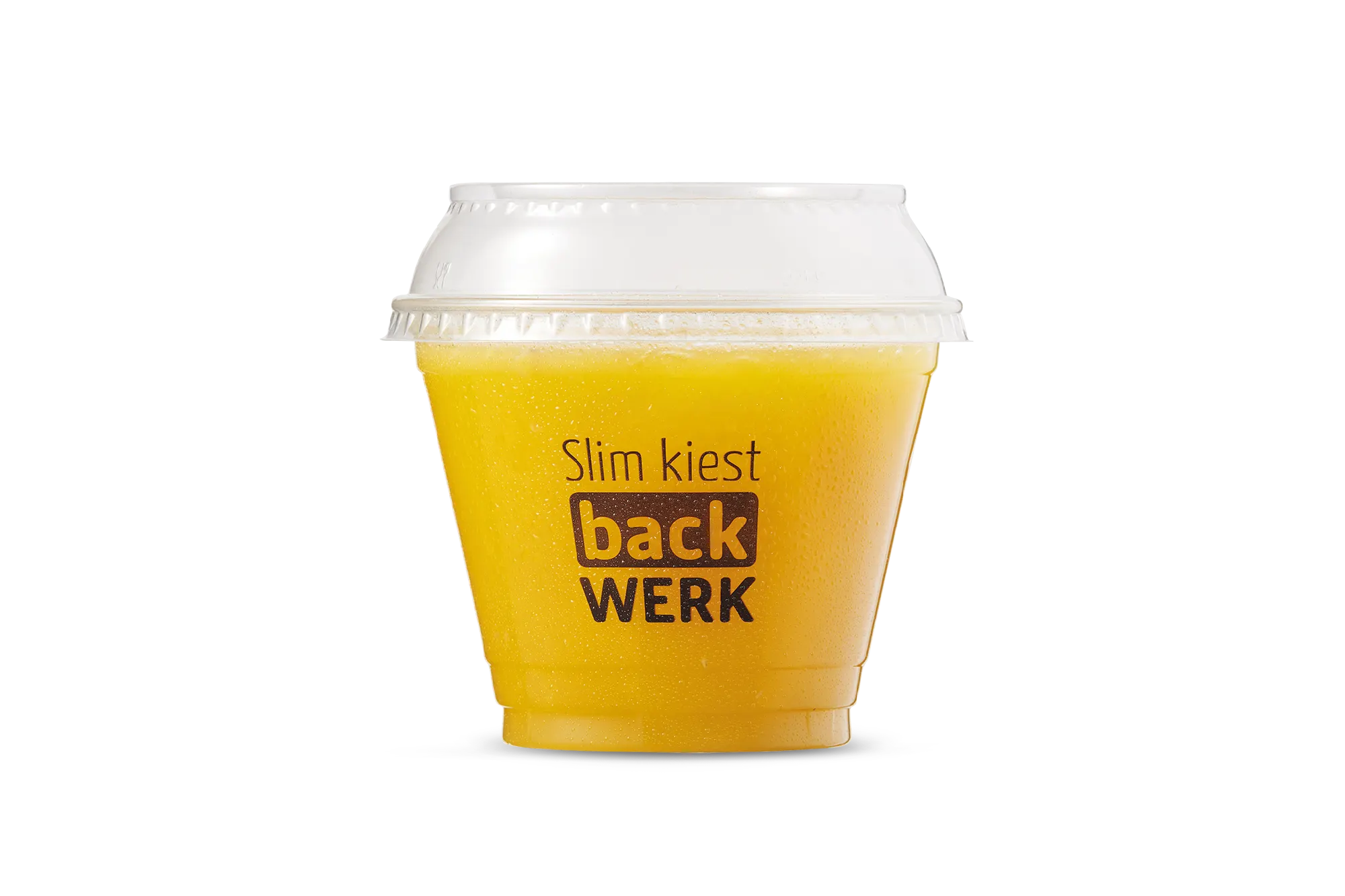 [back-werk.nl] 8897529c470ac3c892f4b90ade927f167492599d8396e8cb0788ed9c7a2a090a.png