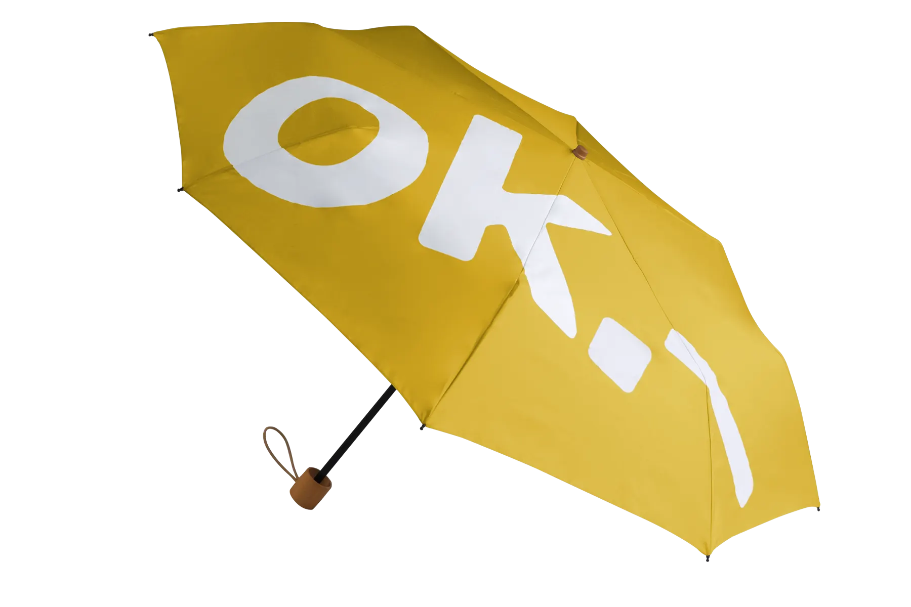 [okpunktstrich.ch] 65e89e6902f61.png