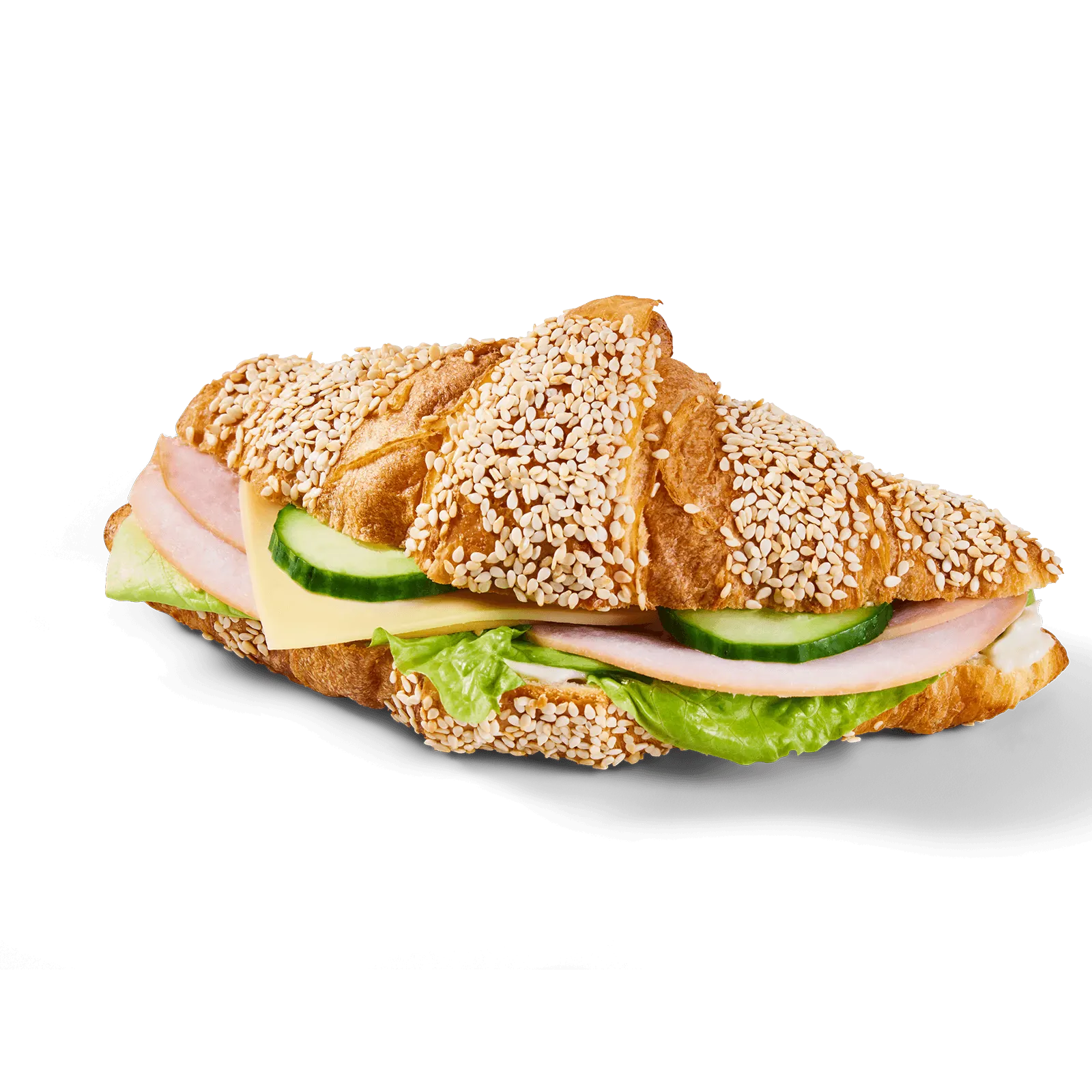 Putenschinken Käse