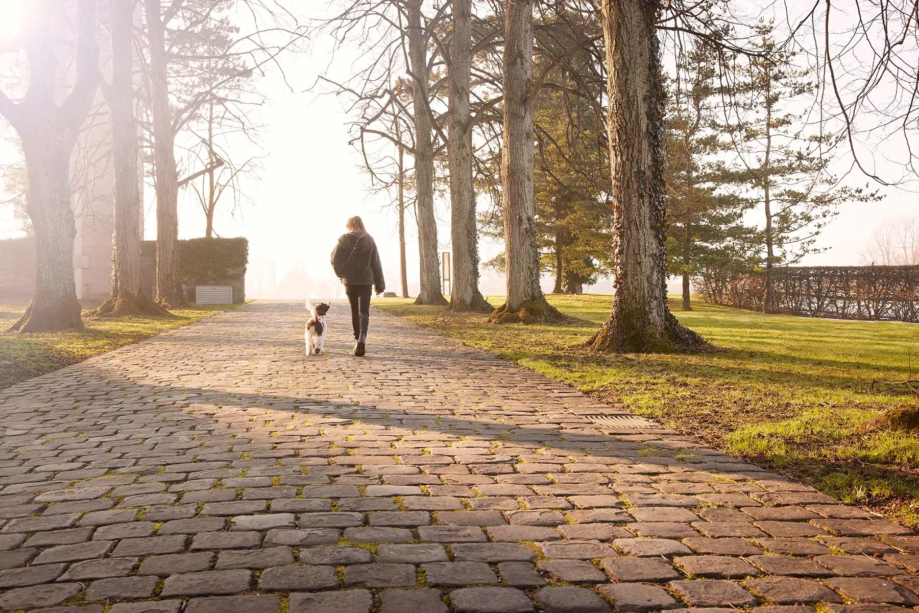 Sustainability as one of Valora’s five strategic pillars