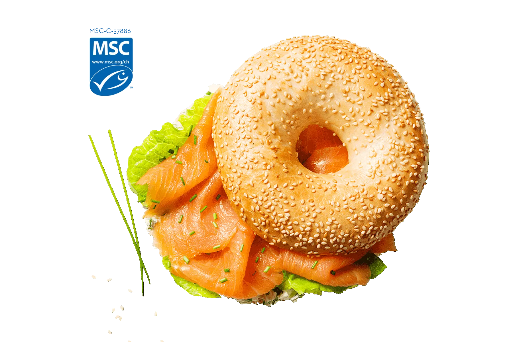 [back-werk.ch] 3d48546fe672fcac784f1fd48a783a9b7342b5851e9038429d400ce8308c8741.png