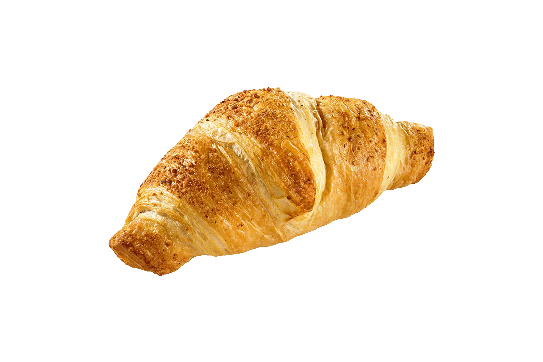 [back-werk.at] 63fcd00fcc206.png