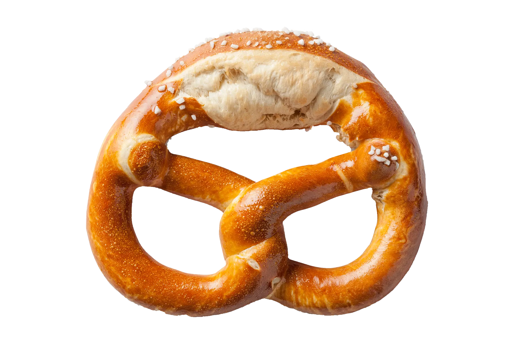 [back-werk.ch] 61fafaf5b0d389359bfc2a95cc8c5df98eb18d20cdd122d5db38e1aefa3b36a6.png