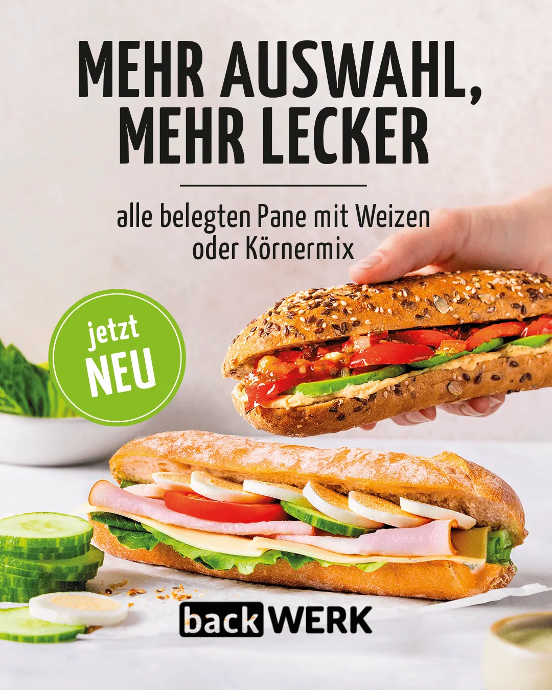 BackWerk Pane