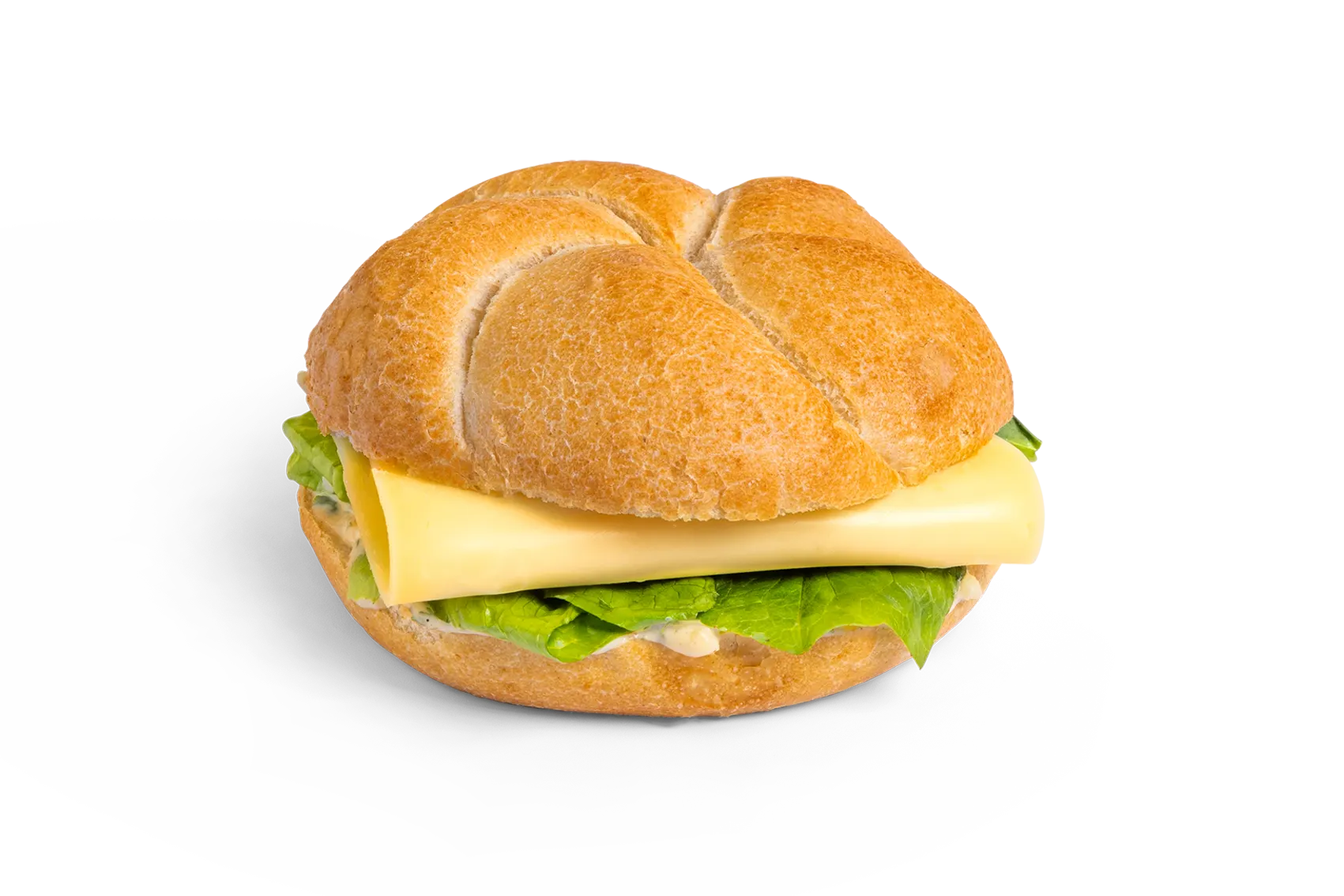 [back-werk.ch] 035fbca162faee4a7b63299b06a8f7f0d7081fc5fd22a4f8c90ccd16e5fae3f2.png