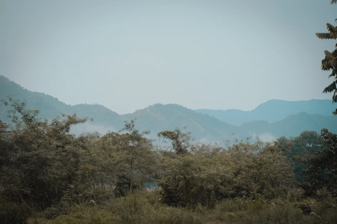 Camp Hiatus 2k24 — frame 17