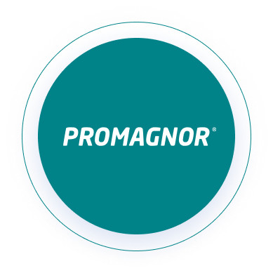 PROMAGNOR logo