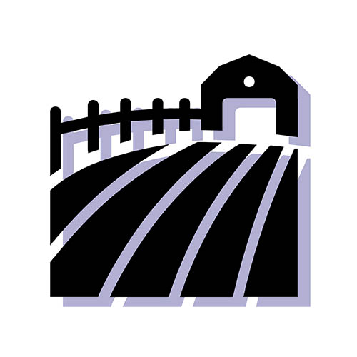 The amount of farmland irrigated with untreated urban wastewater flows (source: UN Environment)