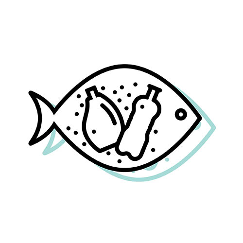 The amount of deep-sea fish in the Northeast Atlantic Ocean that have ingested plastic (Source: National University of Ireland)