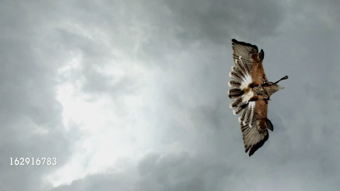 The Evil Eye, 2018, video installation with tiered seating, HD 16:9, colour, 14min 46s