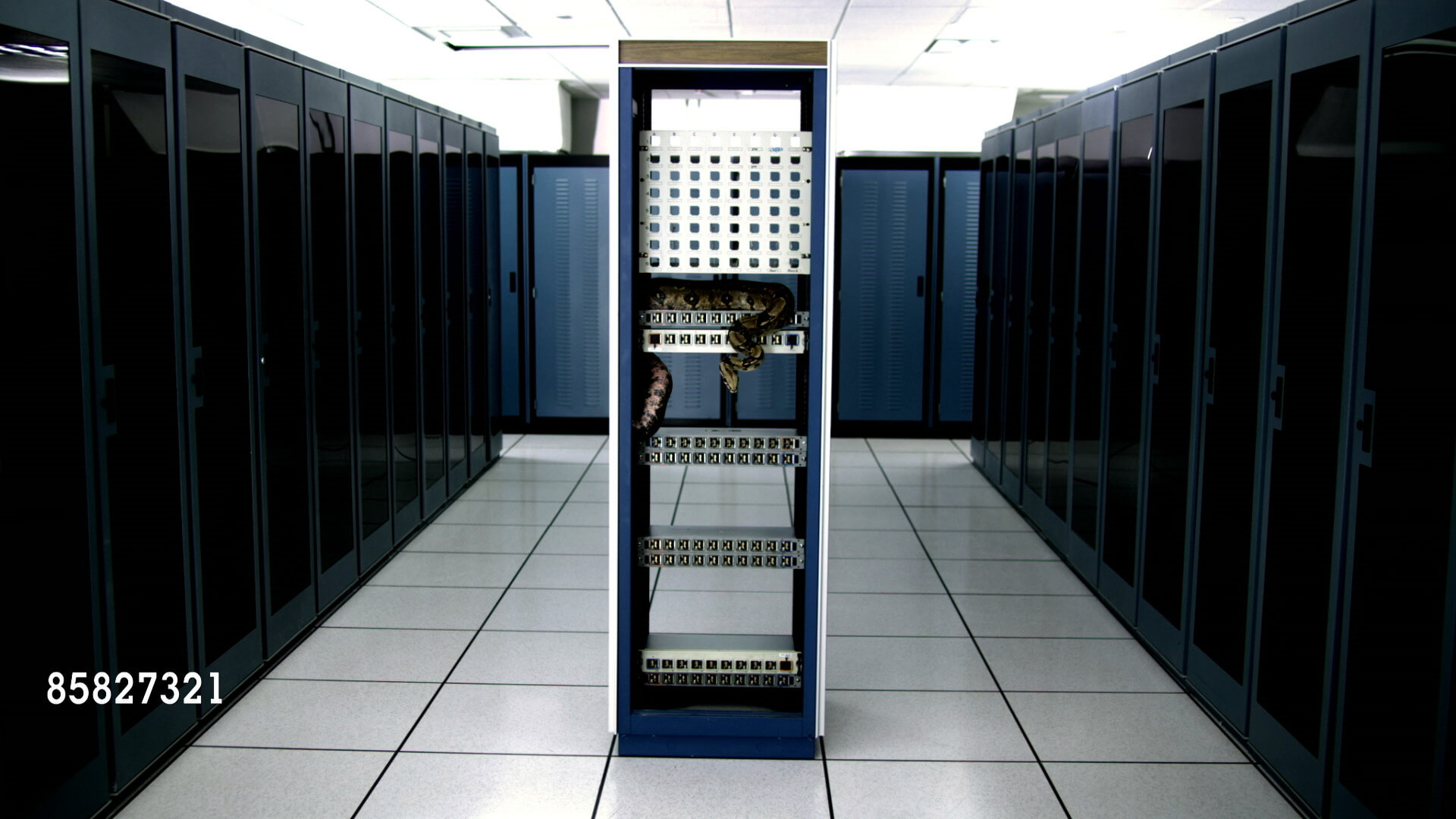 The Evil Eye - data center