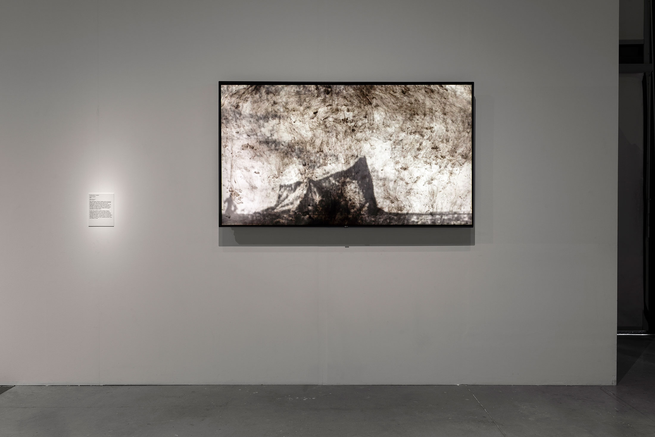 « Ferdinandea, l'île éphémère », vue d'exposition, Mucem, 2025-2026. Photo : Grégoire Édouard.