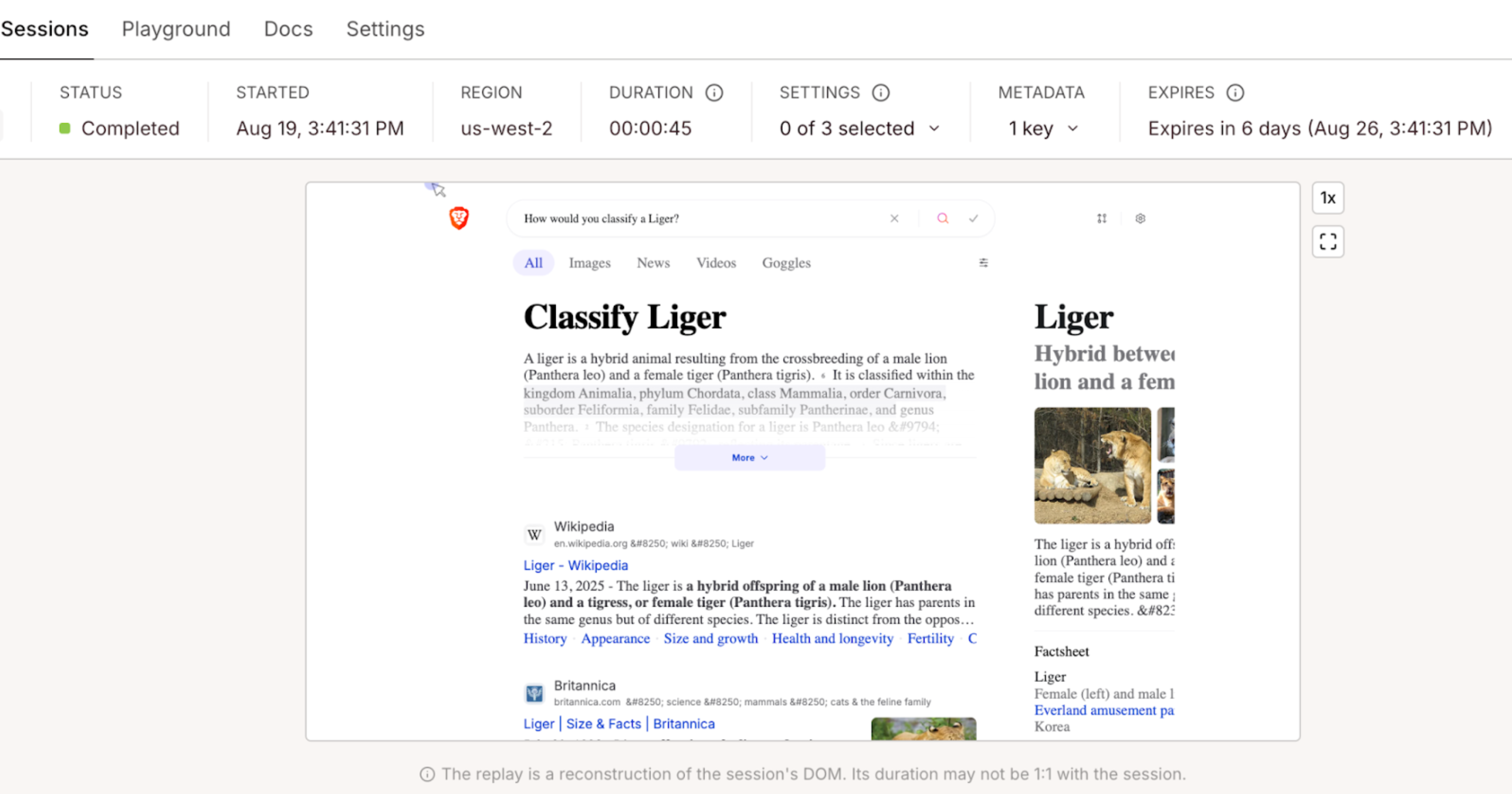 Executing the actual search in the Browserbase UI