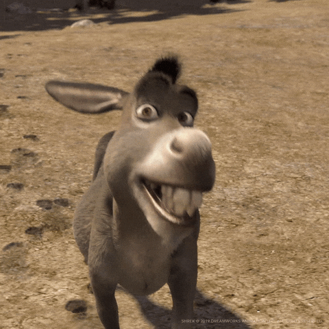 donkey