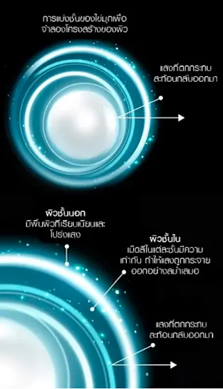 ผิวก็เหมือนไข่มุก ประกอบไปด้วยโครงสร้างที่แบ่งเป็นชั้นๆ