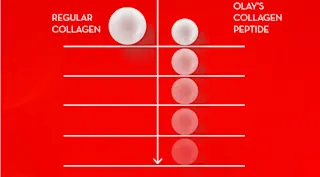 Collagen Peptide 24
