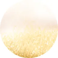 BROAD SPECTRUM SUNSCREEN