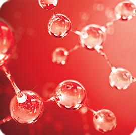 Niacinamide (Vitamin B3+)