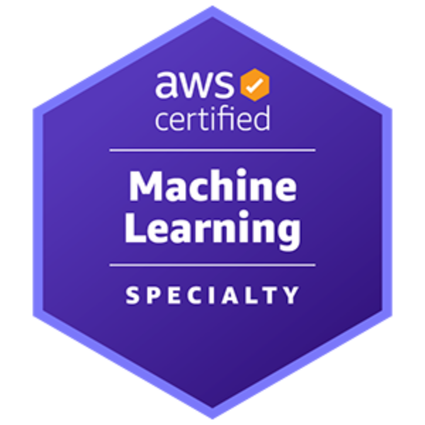 Image - AWS Certification (Machine Learning)