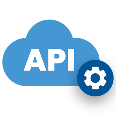 Icon - API & Integration Development