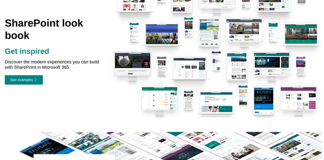 Asset - Image 1 The Pros and Cons of SharePoint Lookbook