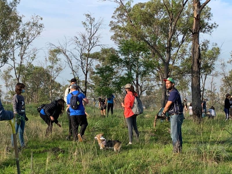 Image - CSR Reforestation