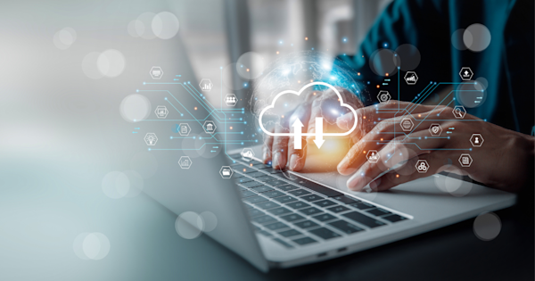 Data Management for AI in the Cloud