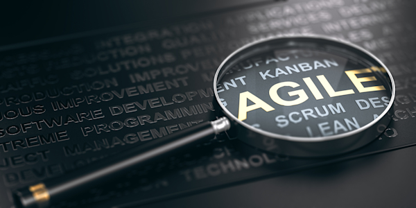 Asset - Agile