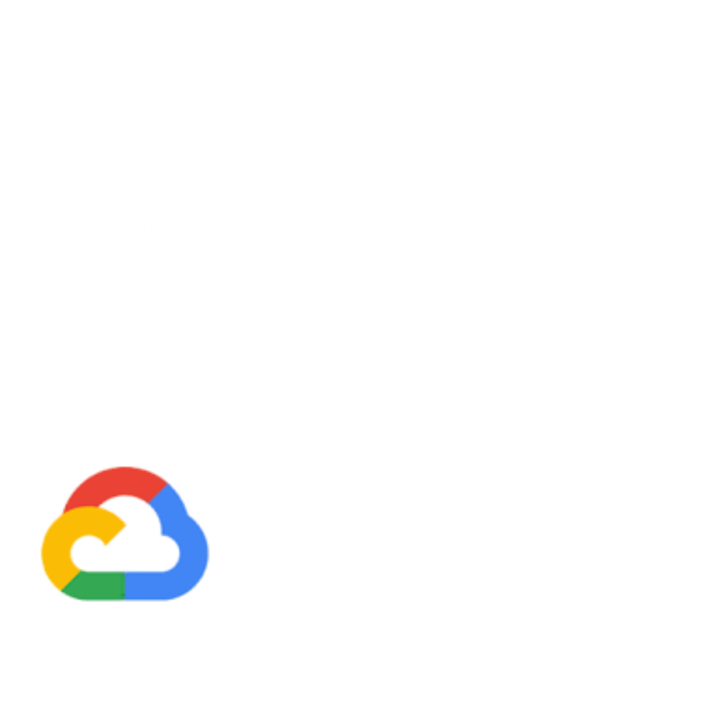 Image - Google Partner Portal
