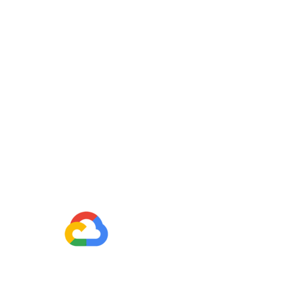 Image - Google Partner Portal (Public Sector)