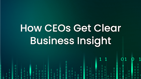 Closing the SAP Data Gap: How CEOs Get Clear Business Insight 