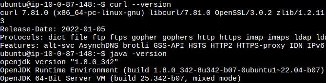 Automate Golden AMI - Verify the dependency installation v2