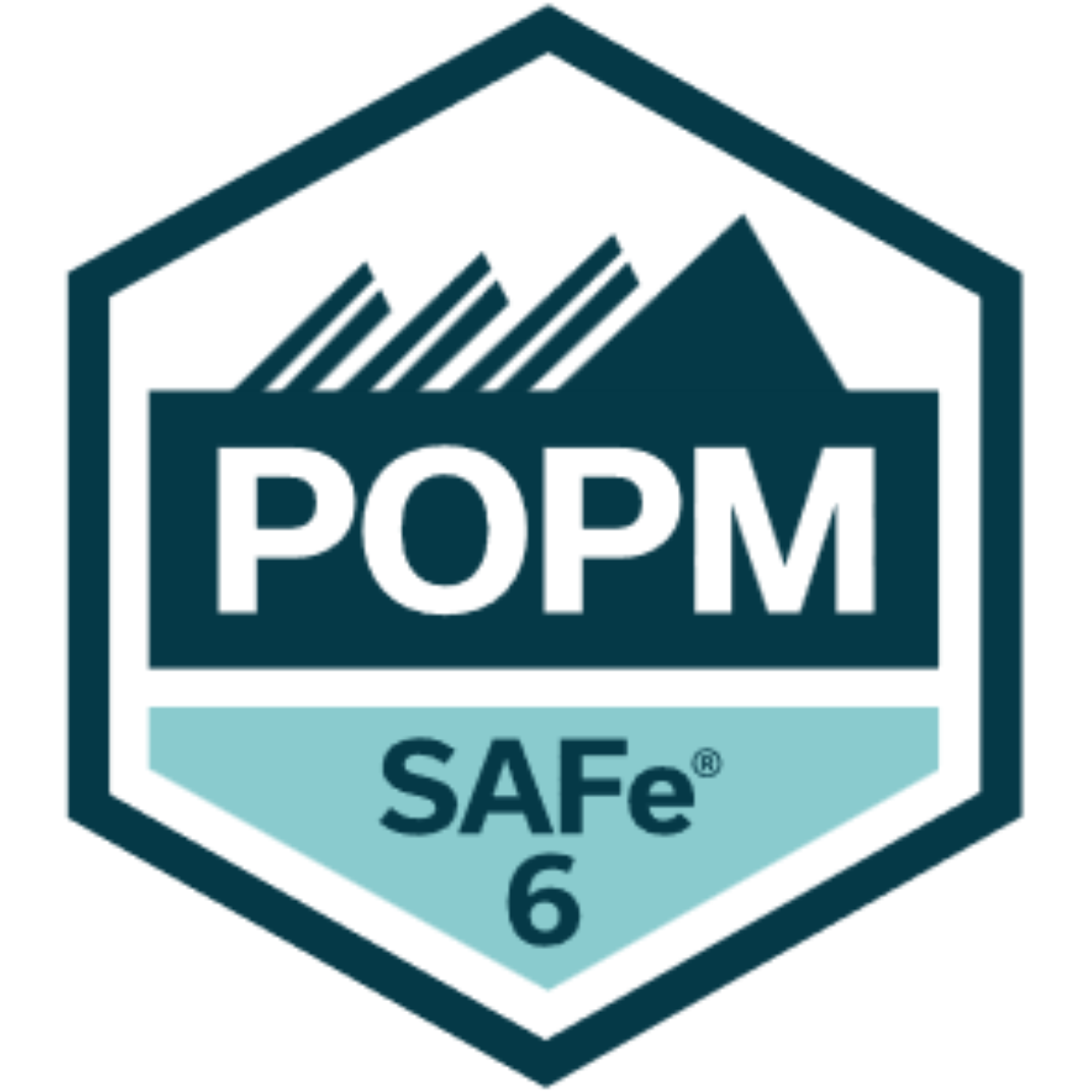 OG Image - SAFe POPM 6.0