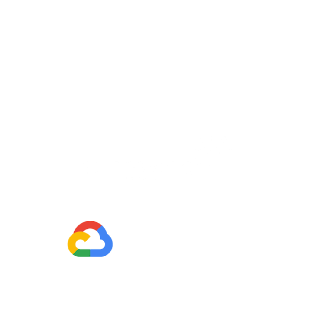 Image - Google Partner Portal (eCommerce)
