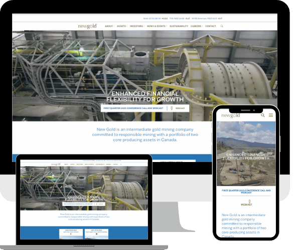 Image - New Gold Website