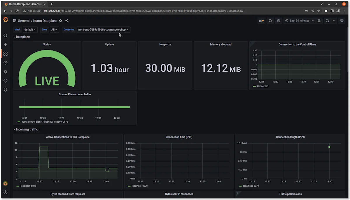 Kuma Dataplane dashboard