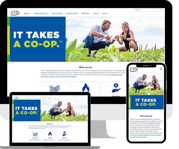 Image - CHS Website