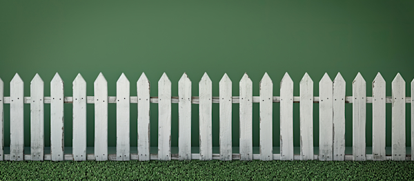 Asset - Image 1 APIs and the Walls They Build: Do Good Fences Make Good Neighbors?