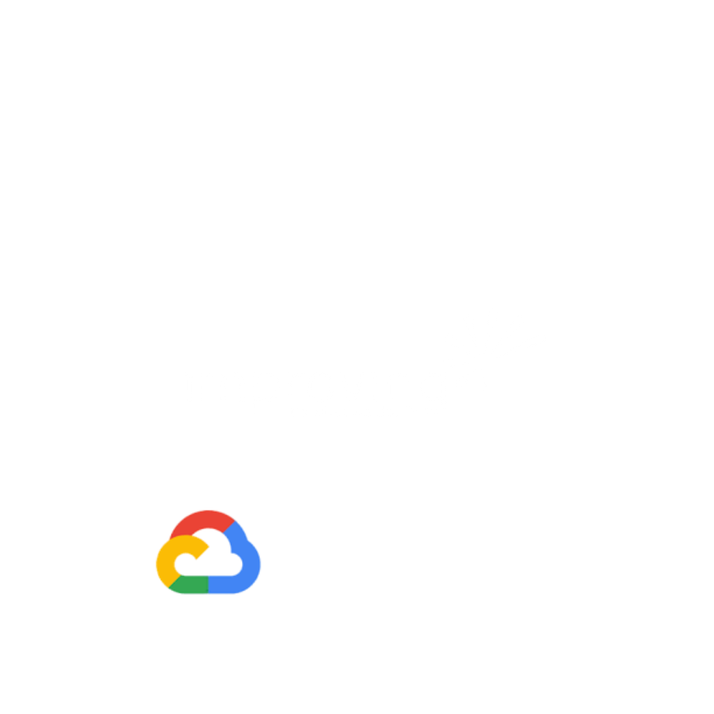 Image - Google Partner Portal (Healthcare)