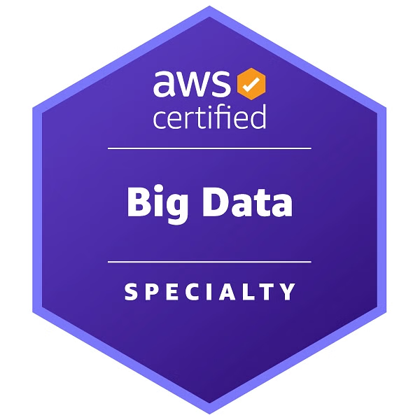 Logo - AWS Big Data